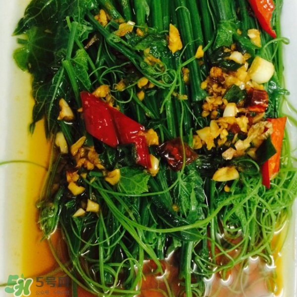 龍須菜怎么清洗？龍須菜怎么處理？