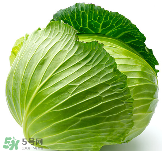 8月份吃什么蔬菜？八月份適合吃什么蔬菜？