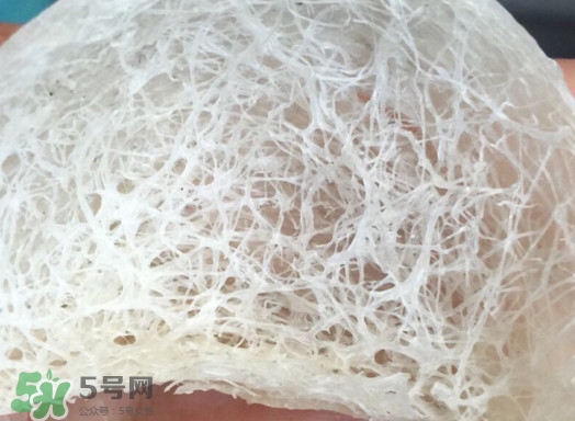 馬來(lái)西亞燕窩好還是印尼好？馬來(lái)西亞燕窩和印尼燕窩區(qū)別