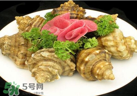海螺可以冷凍嗎？海螺放冰箱能保存多久