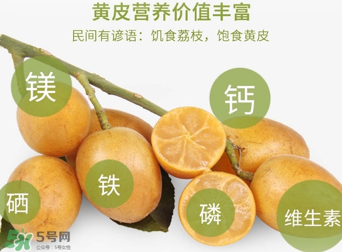 黃皮果是小金橘嗎？黃皮果和小金橘的區(qū)別