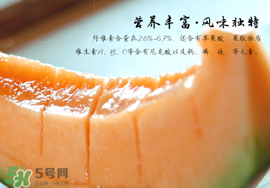 西州蜜瓜什么季節(jié)熟？西州蜜瓜幾月份成熟？