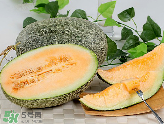 西州蜜瓜什么季節(jié)熟？西州蜜瓜幾月份成熟？