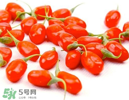 枸杞鮮果能吃嗎？鮮枸杞好還是干枸杞好