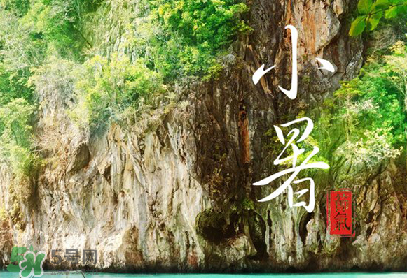 小暑是入伏嗎？小暑是不是入伏？