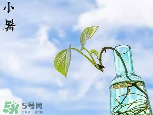小暑是頭伏嗎？小暑是初伏嗎？