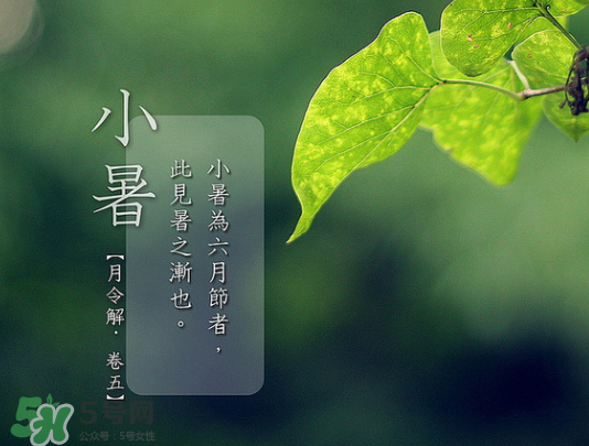 2017年小暑會下雨嗎？小暑這一天下雨好嗎？