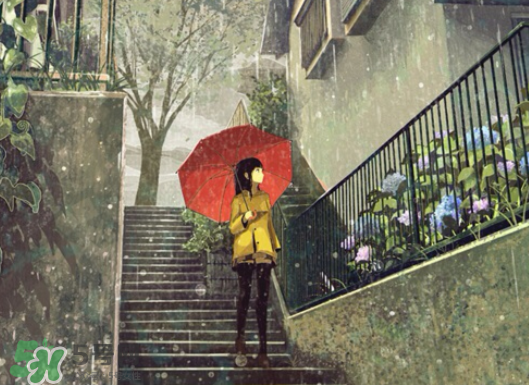 2017年小暑會下雨嗎？小暑這一天下雨好嗎？