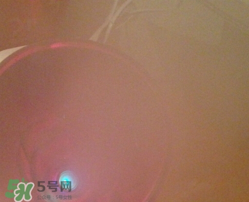 松下蒸臉器和金稻哪個好？松下蒸臉器和金稻蒸臉器對比
