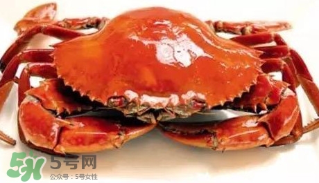 石夾紅螃蟹什么時(shí)候有？石夾紅螃蟹什么時(shí)候最肥