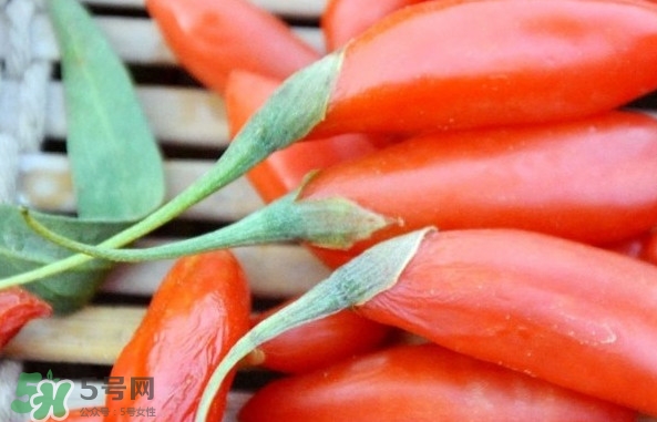 青海和寧夏枸杞哪個好？青海枸杞和寧夏枸杞的區(qū)別