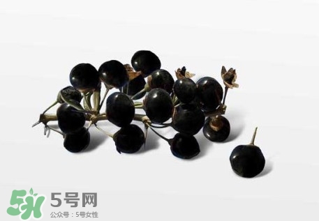 新鮮枸杞多少錢一斤？2017枸杞鮮果價格
