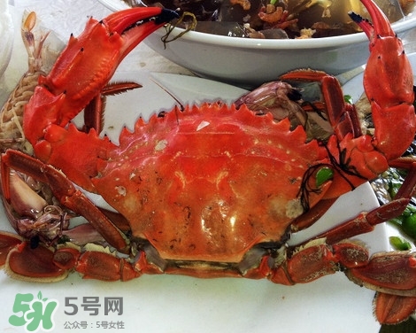 石夾紅螃蟹什么時(shí)候有？石夾紅螃蟹什么時(shí)候最肥