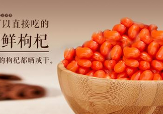 枸杞鮮果能吃嗎？鮮枸杞好還是干枸杞好