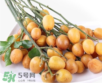 黃皮果是小金橘嗎？黃皮果和小金橘的區(qū)別