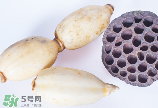 蓮蓬和蓮藕一樣嗎？蓮蓬和蓮藕的區(qū)別