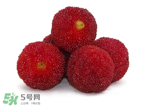 新鮮楊梅怎么保存得更長時間？新鮮楊梅能保存幾天？