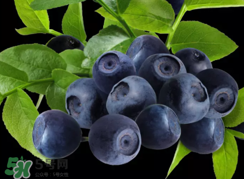 新鮮藍莓可以直接吃嗎？新鮮藍莓怎么吃才好吃？