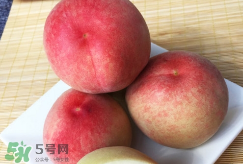 脆桃是什么品種？脆桃什么時候上市