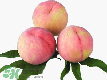脆桃有什么營養(yǎng)？脆桃的營養(yǎng)價值