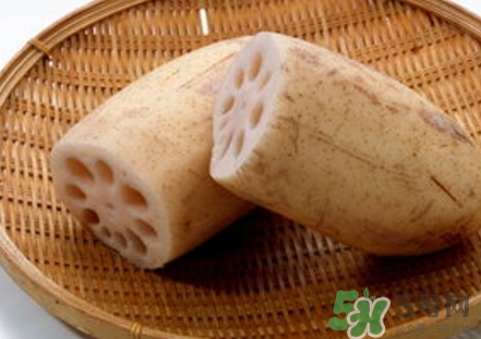 紅蓮藕和白蓮藕哪個(gè)好？紅蓮藕和白蓮藕區(qū)別