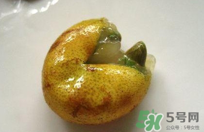 黃皮果核能治療什么??？黃皮核的功效與作用