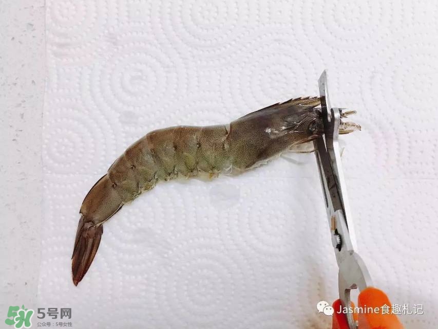 活基圍蝦怎么保存？活基圍蝦怎么處理干凈？