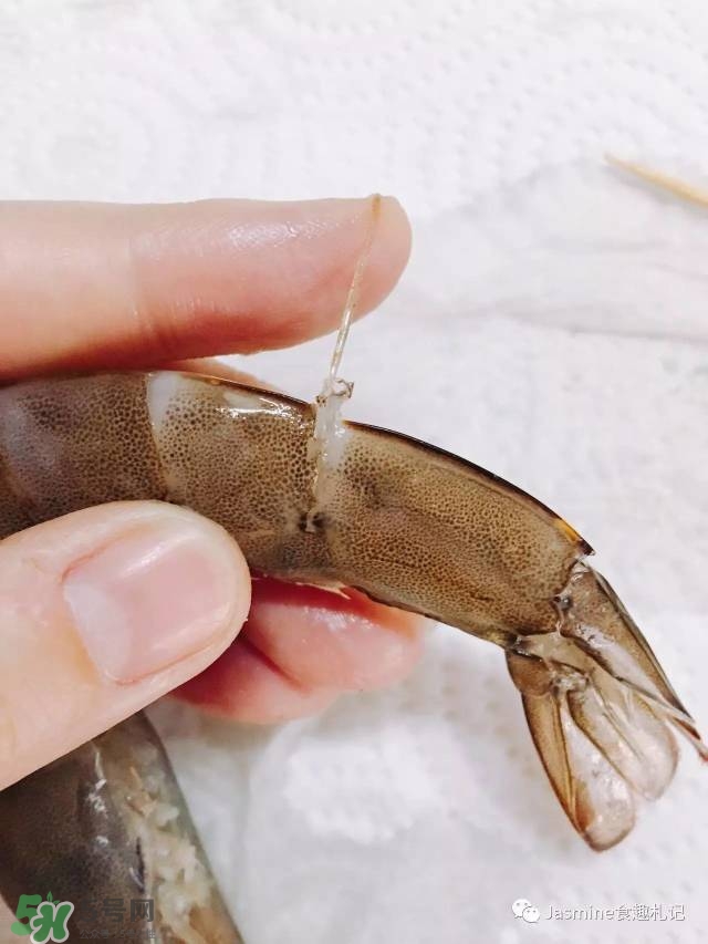 活基圍蝦怎么保存？活基圍蝦怎么處理干凈？
