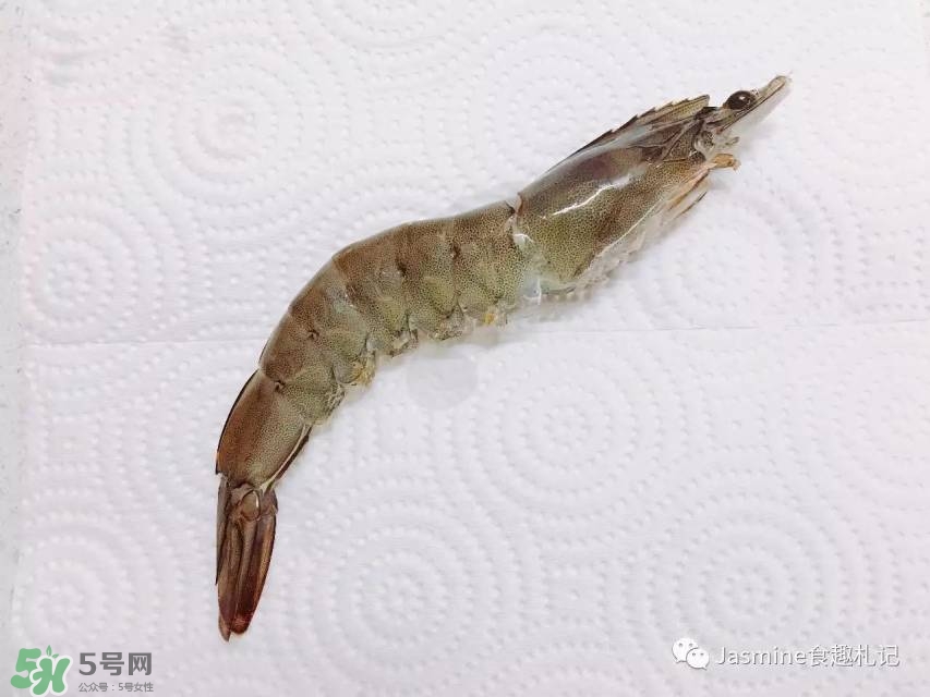 活基圍蝦怎么保存？活基圍蝦怎么處理干凈？