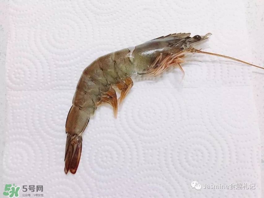 活基圍蝦怎么保存？活基圍蝦怎么處理干凈？