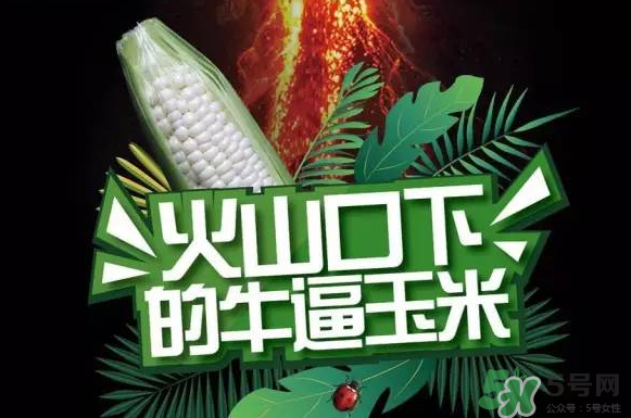 微玉冰糖玉米小孩可以吃嗎？微玉冰糖玉米營(yíng)養(yǎng)豐富嗎？