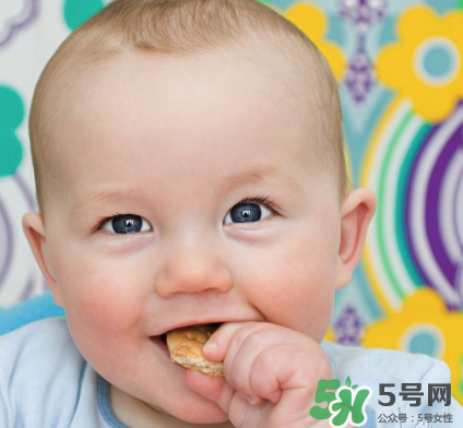 磨牙餅干吃不完怎么辦？磨牙餅干吃到多大？