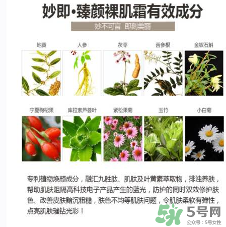 妙即素顏霜怎么樣？妙即素顏霜多少錢一盒？