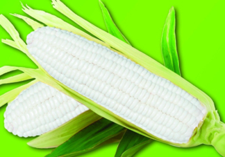 白玉米煮后變黃能吃嗎？白玉米為什么變黃了？
