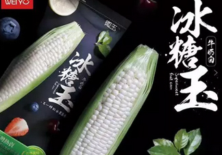 冰糖玉米?是轉(zhuǎn)基因嗎？冰糖玉米多少錢一斤？
