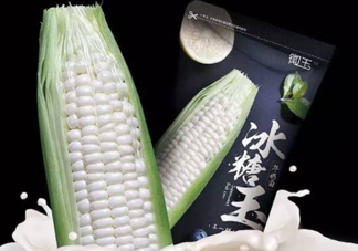 微玉冰糖玉米可以生吃嗎？微玉冰糖玉米安全嗎？