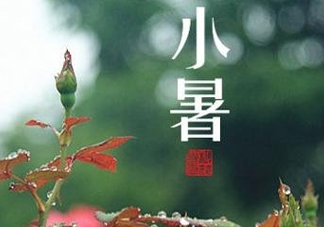 小暑種什么菜？小暑為什么要種牽?；?？