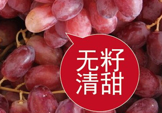 ?無籽紅提?孕婦能吃嗎吃嗎？孕婦能不能吃無籽紅提？