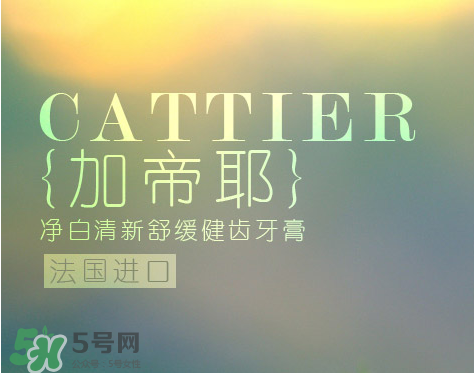 cattier加帝耶是什么牌子？法國cattier什么檔次？