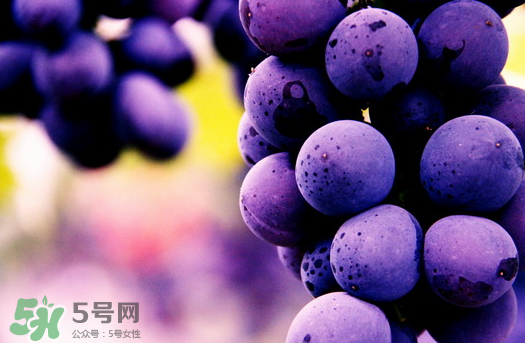 夏黑葡萄多少錢(qián)一斤？夏黑葡萄怎么挑選？