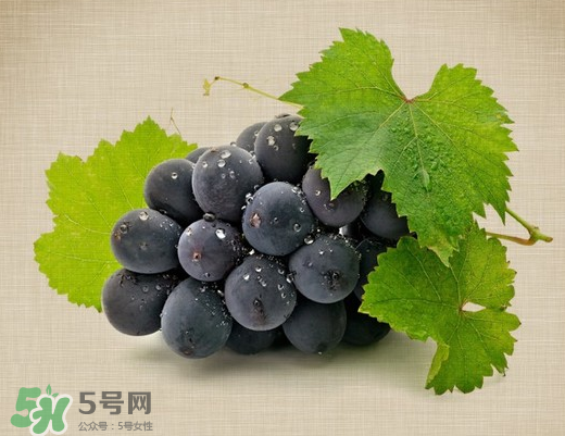夏黑葡萄多少錢(qián)一斤？夏黑葡萄怎么挑選？