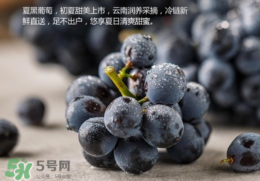 夏黑葡萄皮能吃嗎？夏黑葡萄怎么吃？