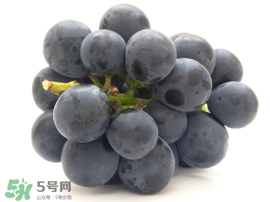 巨峰葡萄是哪里的？巨峰葡萄產地