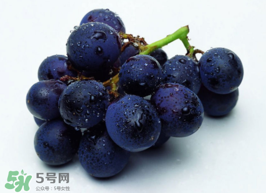 巨峰葡萄和葡萄有什么區(qū)別？巨峰葡萄是轉(zhuǎn)基因的嗎？