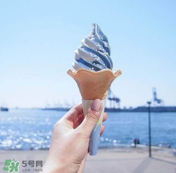 鯨鯊冰淇淋好吃嗎？鯨鯊冰淇淋多少錢？