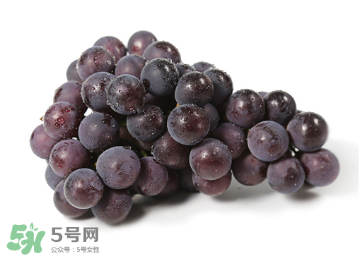 巨峰和夏黑哪個好吃？哪個貴？有什么區(qū)別？