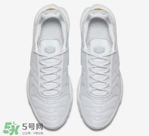 nike air max plus ice blue多少錢？耐克氣墊plus冰藍配色價格