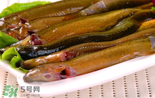 鰻魚是泥鰍嗎？鰻魚與泥鰍什么區(qū)別