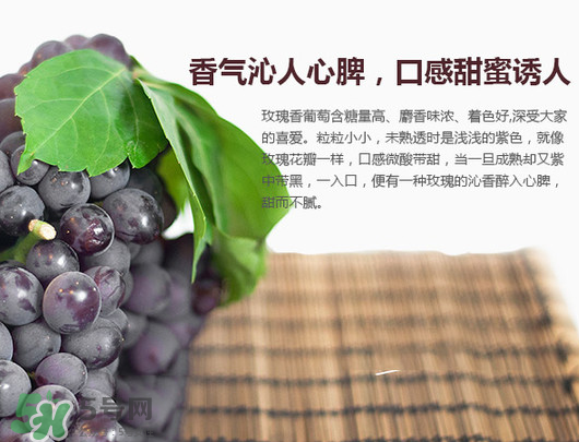 玫瑰香葡萄孕婦能吃嗎？孕婦可以吃玫瑰香葡萄嗎？