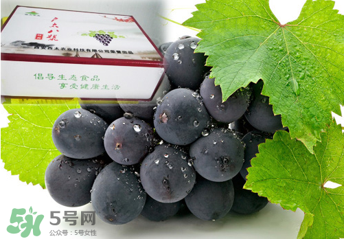 戶太八號(hào)葡萄什么時(shí)候套袋？戶太八號(hào)葡萄什么月份套袋？
